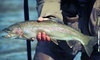 MK Sport Fishing/Mike Kancianich Coupons  Deals