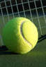 TampaBayAreaTennis Coupons St. Petersburg, FL Deals