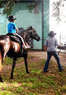 Good Horse  Coupons New Orleans, LA Deals