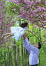 Gobrail Photography Coupons  Deals