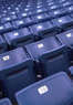 Charleston RiverDogs Coupons Charleston, SC Deals