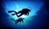 Learn Scuba Chicago Coupons Chicago, Illinois Deals