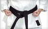 Victory Martial Arts Coupons Lansing, Michigan Deals