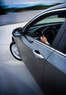 D & L Detailing Coupons  Deals