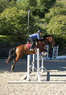 Harmony Horse Training Coupons Goleta, CA Deals