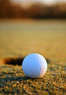 Golf365 Coupons Boise, ID Deals