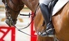 Forest Hill Training Centre Inc. Coupons Caledon, Ontario Deals