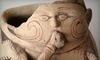 The Amerind Museum Coupons Dragoon, Arizona Deals