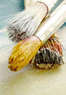 The Martinsville Studio Coupons Martinsville, NJ Deals