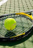 The Tennis Baron Coupons Phoenix, MD Deals