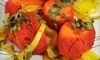 Masala Grill Coupons Chicago, Illinois Deals