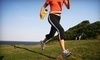 Tortoise and Hare Running & Fitness Center Coupons Ann Arbor, Michigan Deals