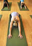 Maya Whole Health Studio Coupons Renton, WA Deals