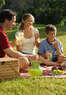 Mosquito Squad of the Triad Coupons  Deals