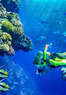Epic Hawaii Coupons Honolulu, HI Deals