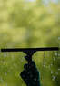 Affordable Window & Gutter Cleaning Coupons  Deals