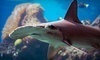 Portland Aquarium Coupons Milwaukie, Oregon Deals