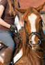 Family Horse Ranch & Rescue Corp. Coupons St. Augustine, FL Deals