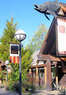 UO Museum of Natural and Cultural History Coupons Eugene, OR Deals