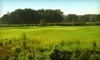 White Pines Golf Course Coupons Swanton, Ohio Deals