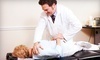 Geist Chiropractic Coupons Fishers, Indiana Deals
