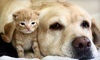 Nob Hill Animal Clinic Coupons Plantation, Florida Deals