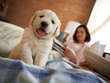 Pet Wellness Center of Central Jersey Coupons Wildwood Crest, NJ Deals