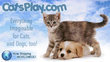 CatsPlay.com